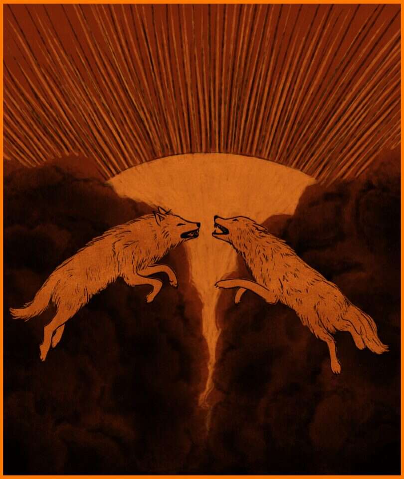 איור: שרון ארדיטי