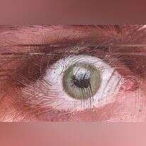 איור: אבימי