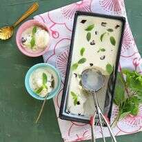 גלידת שוקולד מנטה עם נענע. | אפרת ליכטנשטט