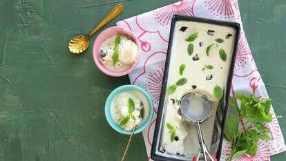 גלידת שוקולד מנטה עם נענע. | אפרת ליכטנשטט