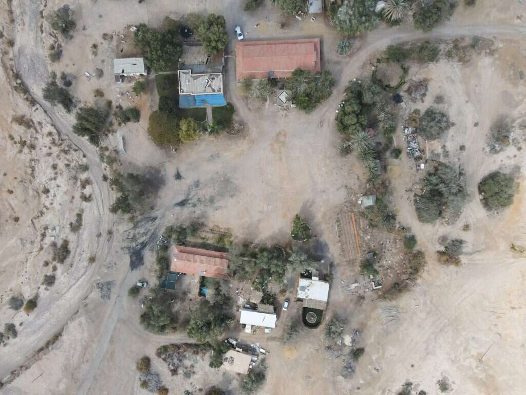 לירון מולדובן