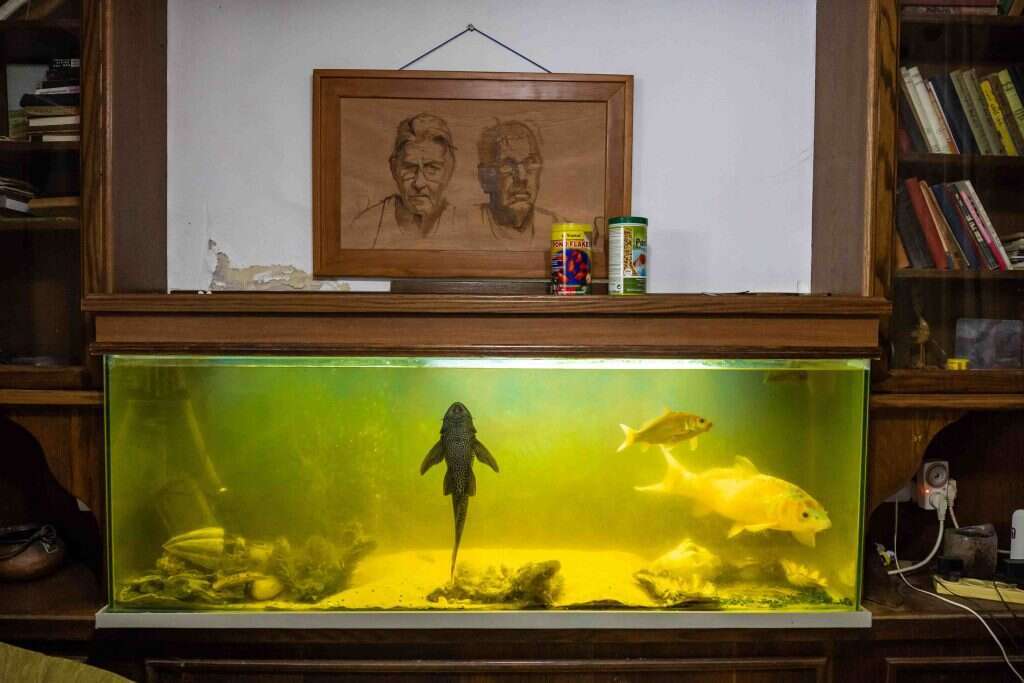 ברוך גרינברג