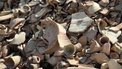 עדויות לשתיית בירה באתר החפירות בלגש. | איי.אף.פי