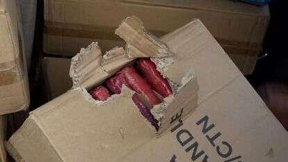 הלפידים שנמצאו ברכבו של מויאל. | דוברות המשטרה