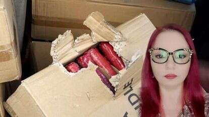 דוברות המשטרה, אקסינו (ארבל מויאל) דוברות המשטרה, אקסינו (ארבל מויאל)