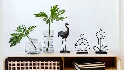 בית האומנות גליפס, | לינור שטורם