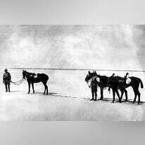 אנשי הגדוד העברי באזור תל־אביב, 1918. באדיבות נדב מן, ביתמונה. מאוסף גלויות גרא, האוסף הלאומי לתצלומים על שם משפחת פריצקר, הספרייה הלאומית