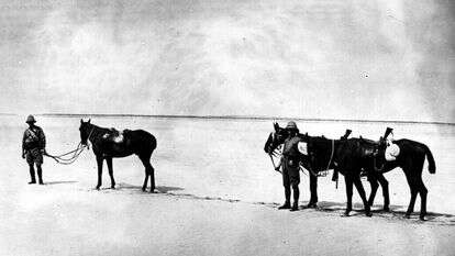 אנשי הגדוד העברי באזור תל־אביב, 1918. באדיבות נדב מן, ביתמונה. מאוסף גלויות גרא, האוסף הלאומי לתצלומים על שם משפחת פריצקר, הספרייה הלאומית אנשי הגדוד העברי באזור תל־אביב, 1918. באדיבות נדב מן, ביתמונה. מאוסף גלויות גרא, האוסף הלאומי לתצלומים על שם משפחת פריצקר, הספרייה הלאומית