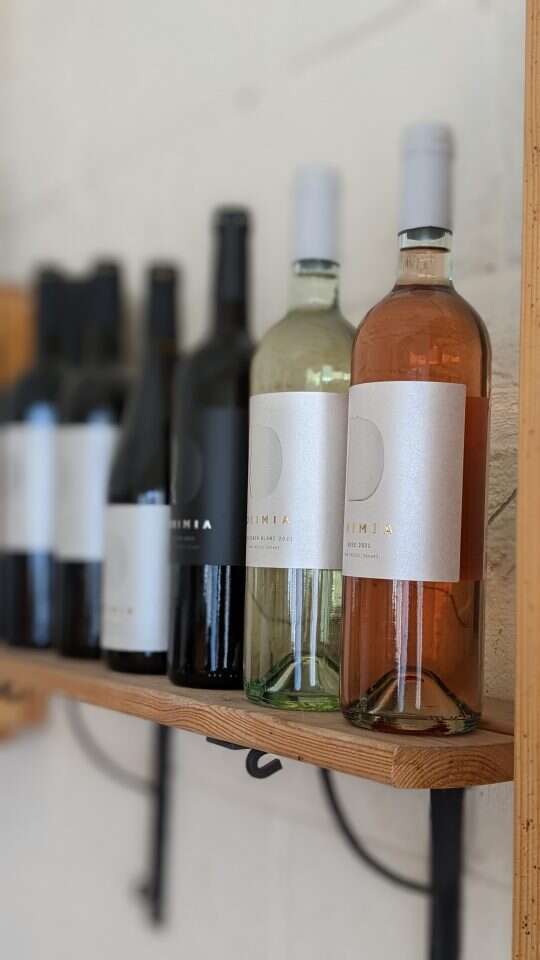 רינה נקונצ'ני