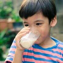 חשש כי מקור החיידק בחלב שאינו מפוסטר. | להמחשה: שאטרסטוק