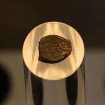 המטבע עליו תיאור המנורה הקדום המוצג במרכז דוידסון. | אמיל אלג'ם, רשות העתיקות