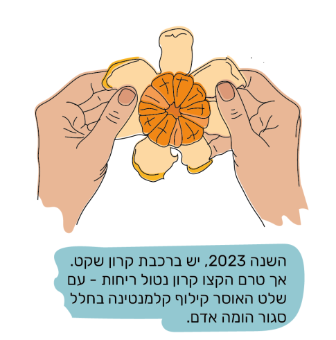 איור: בת אל בן-חורין