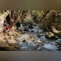 מטיילים בנחל הבניאס. | מיכאל גלעדי/פלאש90