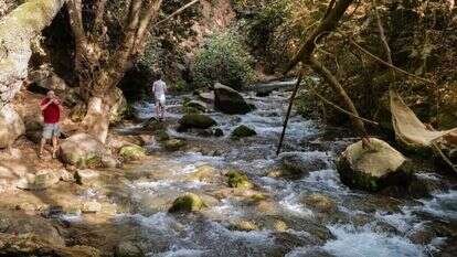 מטיילים בנחל הבניאס. | מיכאל גלעדי/פלאש90