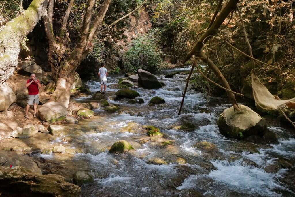 מטיילים בנחל הבניאס. | מיכאל גלעדי/פלאש90
