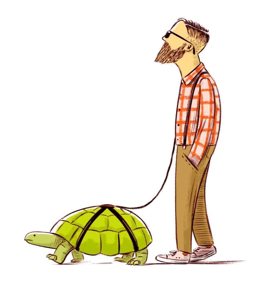 איור: מורן ברק