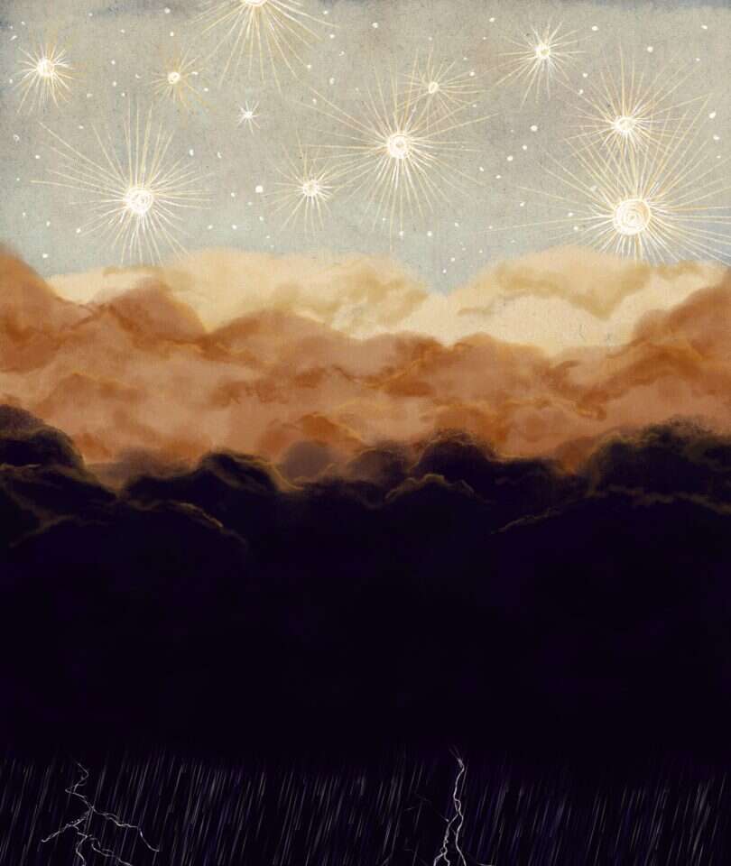 איור: שרון ארדיטי