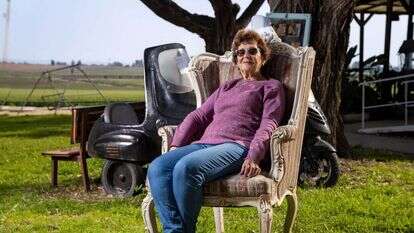 מיכל שפיר. | ברוך גרינברג