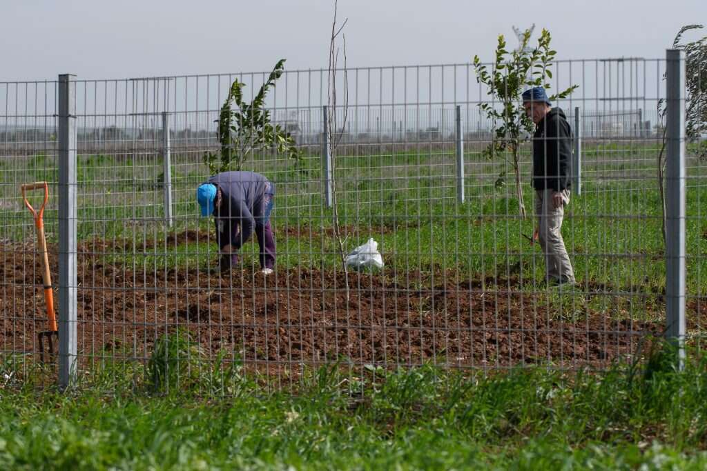 "המדינה צריכה להתעשת". חיבור מים לחלקות שרכשו ערבים מיהודים ליד כפר־תבור. | אייל מרגולין־ ג'יני