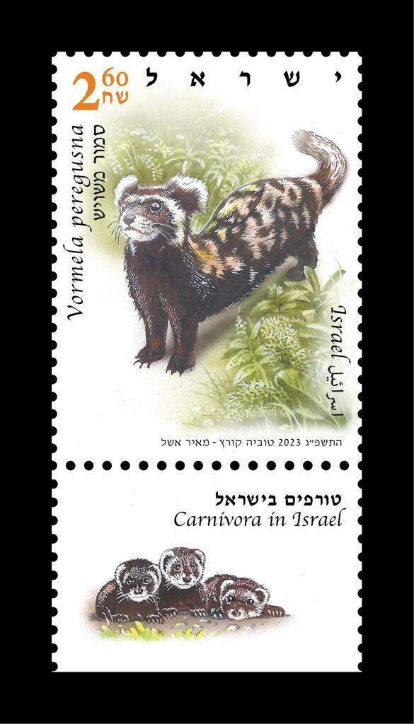 בול של סמור משויש. קרדיט: באדיבות חברת דואר ישראל