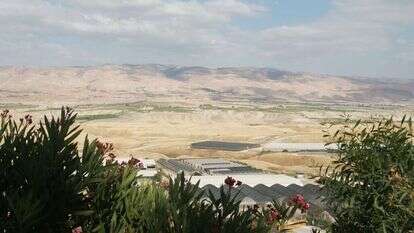 שדמות מחולה. | מרים צחי