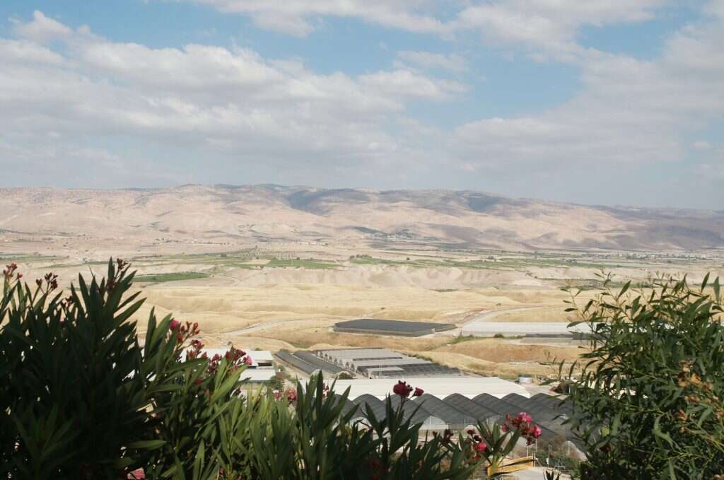 שדמות מחולה. | מרים צחי