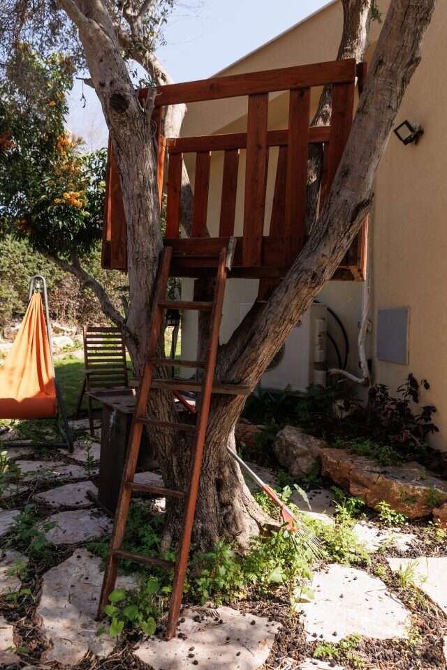 ברוך גרינברג