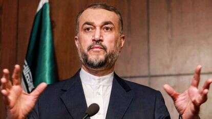 שר החוץ האיראני, אמיר עבדוללהיאן. | AFP