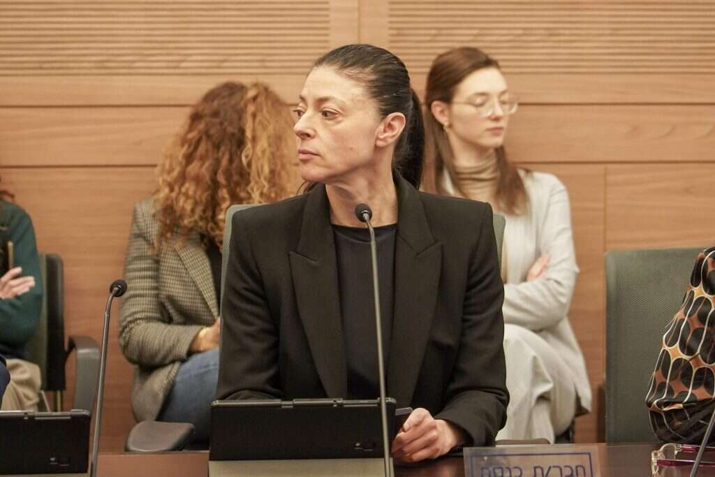 ח"כ מירב מיכאלי בדיון בוועדת חוקה, היום. | דני שם טוב - דוברות הכנסת