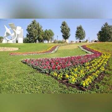 עיריית ירושלים, ארנון בוסאני