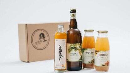 המתססה. | יח"צ