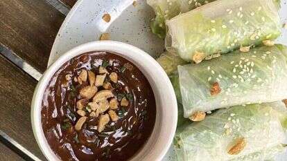 דנה מויאל רייכר