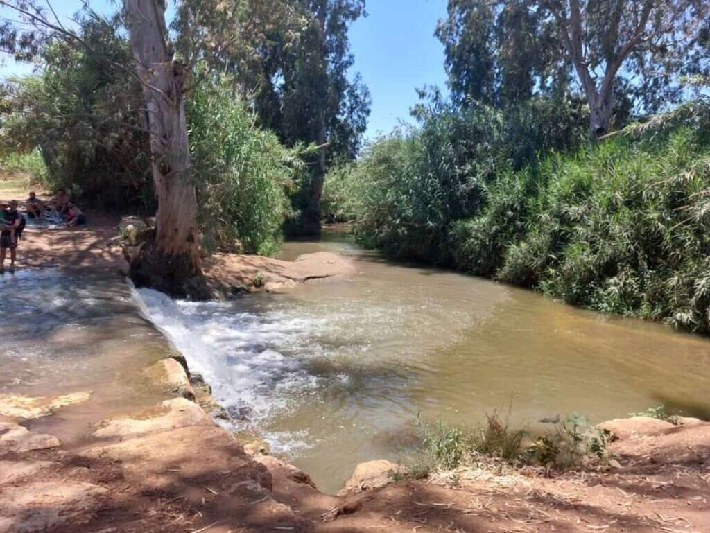 הירקון (אבו רבאח). | מרכז סיור ולימוד בשבילוד