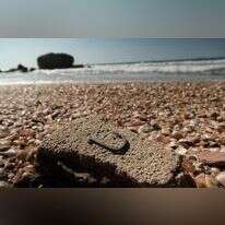 קרס הנחושת מהקדומים בעולם- יתכן ששימש לציד כרישים. | אמיל אלג'ם, רשות העתיקות