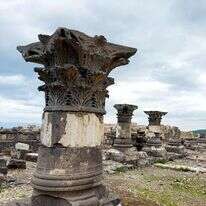 סוסיא הקדומה. | אבישג איילון