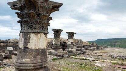 סוסיא הקדומה. | אבישג איילון