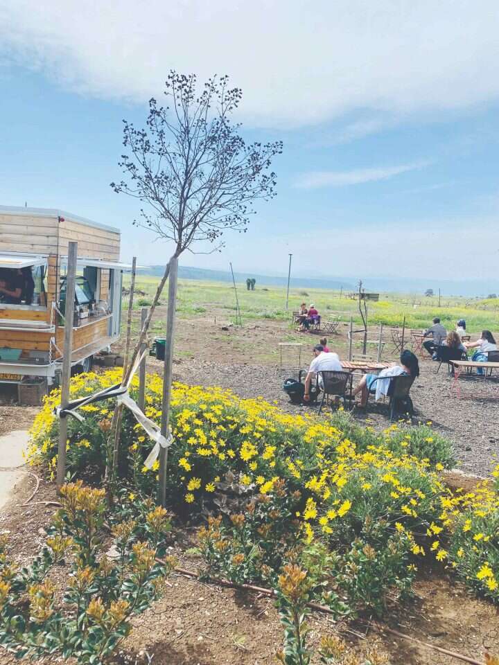 עגלת הקפה "דורא". ילום: אפרת ארליך.