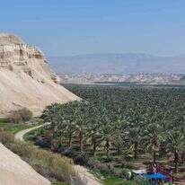 בקעת הירדן. | מרכז סיור בקעה