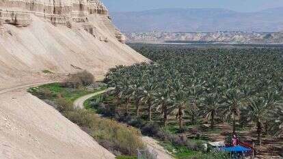 בקעת הירדן. | מרכז סיור בקעה