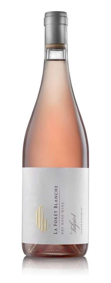 ארקדי רסקין