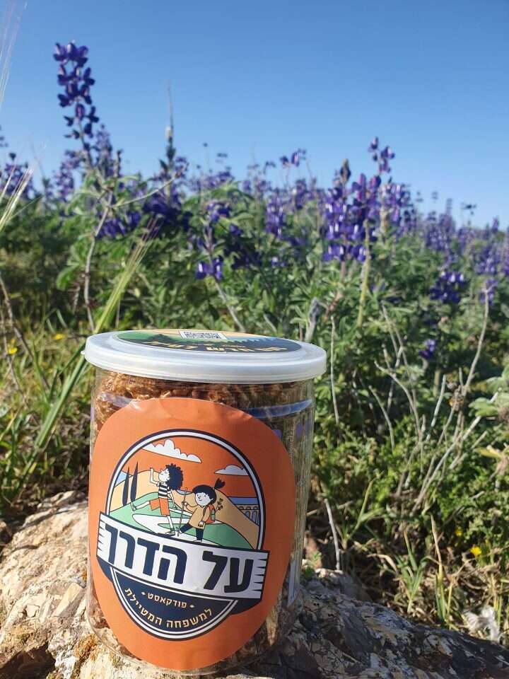 לירן ליפשיץ