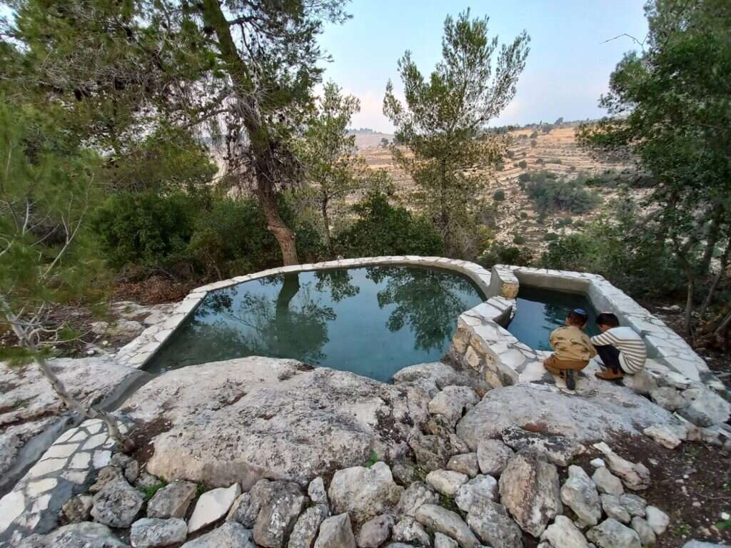 מעיין תלם. | ישי קליין