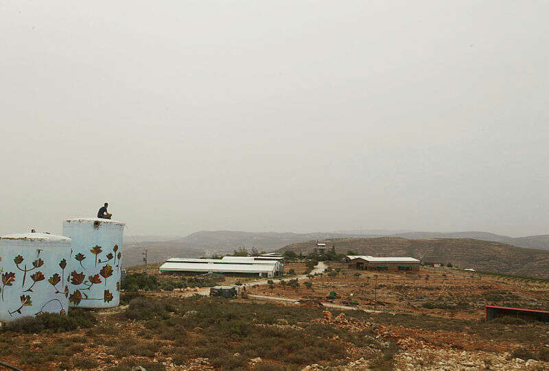 חוויה מיוחדת בנחלת יוסף. גבעות עולם. | מרים צחי