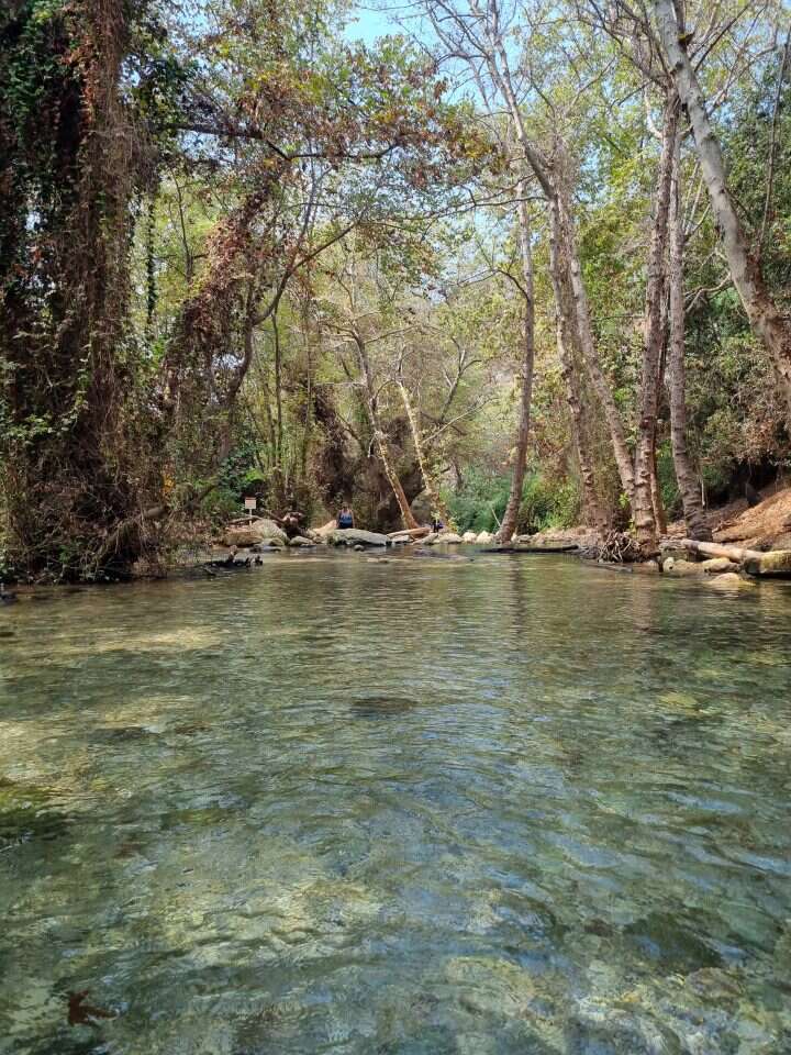 עין חרדלית. | בר