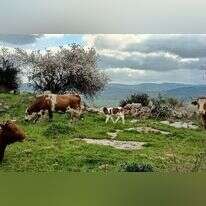 שביל הגבעות הדרומיות של מודיעין. | מרכז סיור ולימוד בשבילוד שביל הגבעות הדרומיות של מודיעין. | מרכז סיור ולימוד בשבילוד