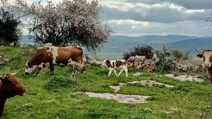 שביל הגבעות הדרומיות של מודיעין. | מרכז סיור ולימוד בשבילוד