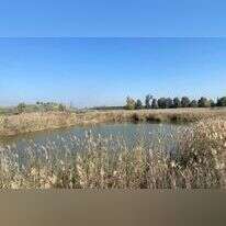 שמורת עיינות גיבתון. | מרכז סיור ולימוד בשבילוד