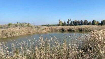 שמורת עיינות גיבתון. | מרכז סיור ולימוד בשבילוד