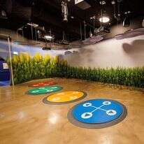 מרכז המבקרים של במבה - רחפות. | עזרא לוי