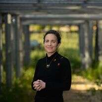 ד"ר שולמית קיציס. | אייל מרגולין - ג'יני